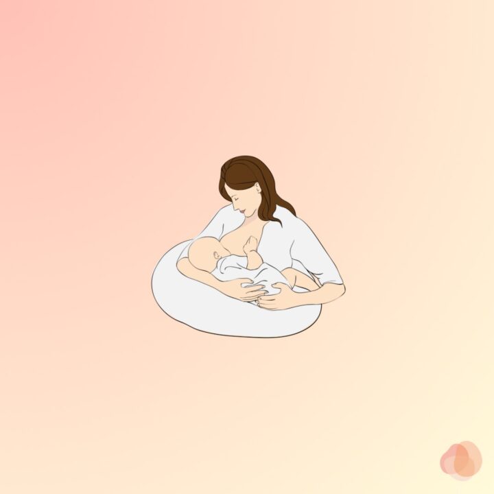 母乳の仕組みと母乳に関する疑問の画像