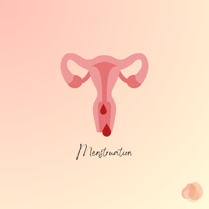 月経に関することの画像