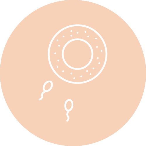 妊娠が分かったら